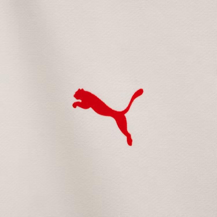 Puma Удобная Универсальная Футболка Реглан с Длинным Рукавом Мужские Топы Красный 94091801