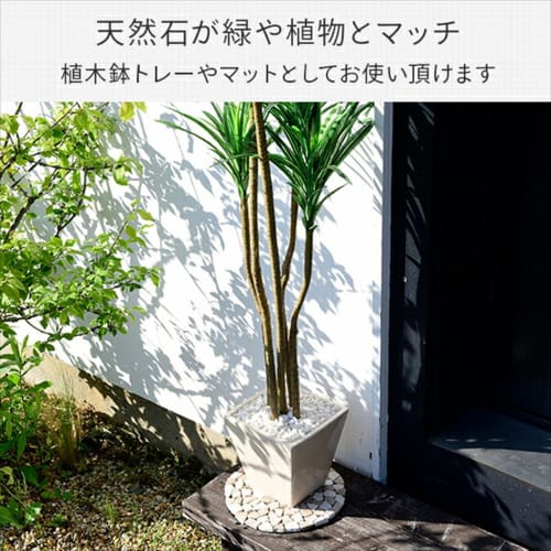 Gardenmaster Natural Stone Sheet, Sold Individually, 23cm Diameter, STR-23(BE), Beige