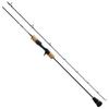 Daiwa Rod 21 Saltiga SJ AGS TG 55B-4