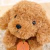 Potte Poodle Plush Toy K-8206