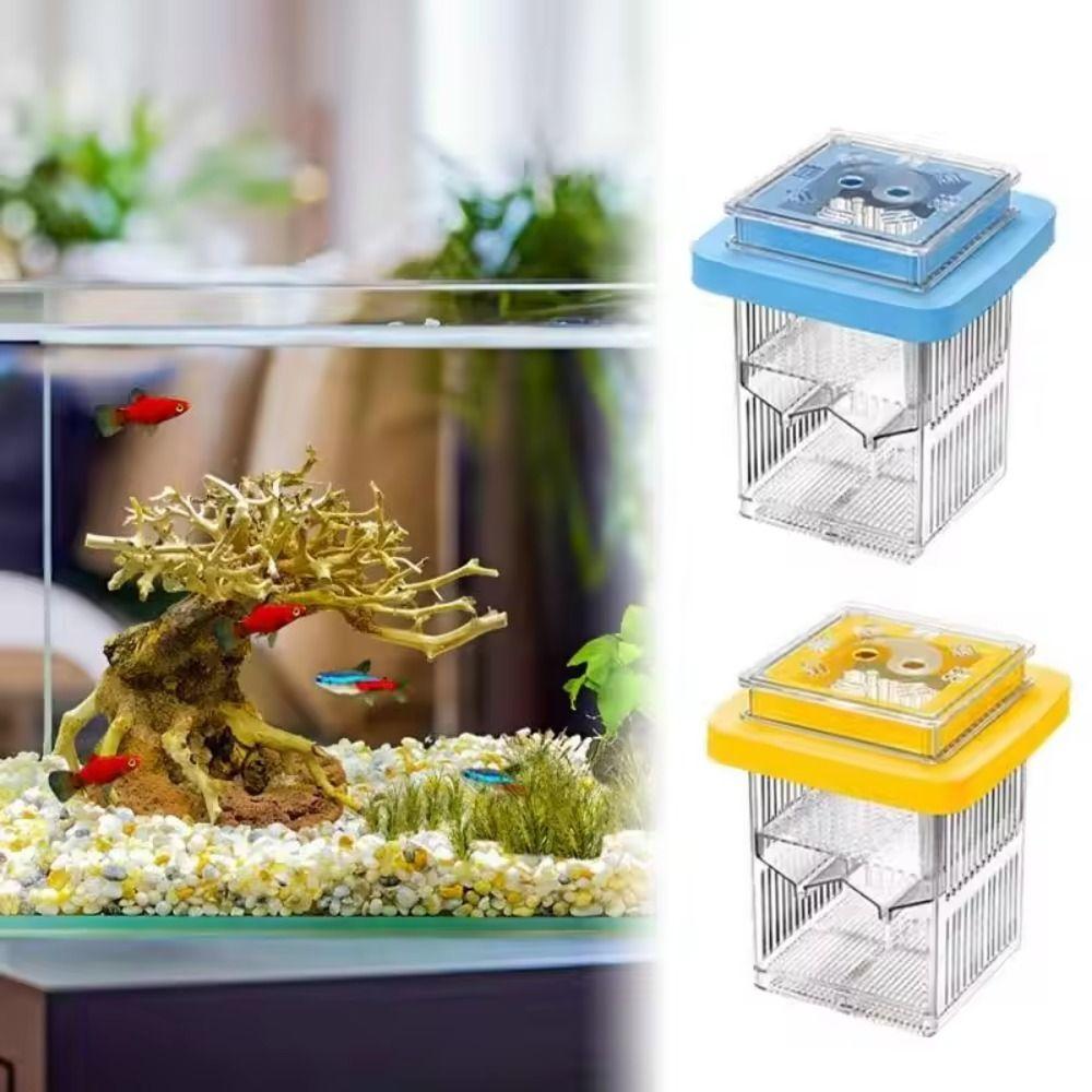 Permeable Floating Hatching Box Transparent Fish Tank Divider Mother Fish Incubator  For Small Fish