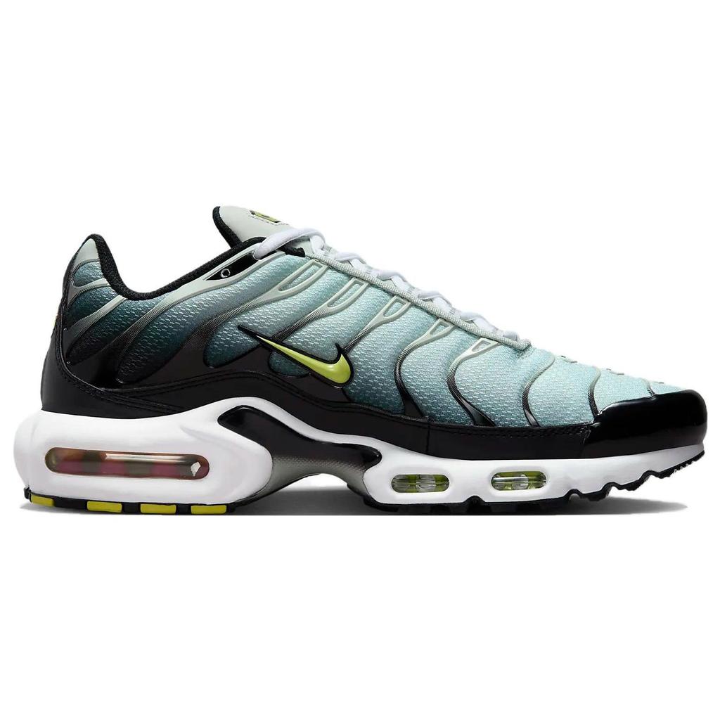Nike Мужские кроссовки Air Max Plus Bright Cactus, синие, черные, светло-серебристые, DM0032-006