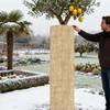 Укрытия для растений на зиму Дышащее одеяло Натуральный джут Зимние мешки-укрытия для растений для плодовых деревьев Овощей Ягодных кустов Сада