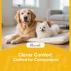 Dog Sofa Bed, Washable Pet Bed with Removable Cover and Non-Slip Bottom for Cats and Small Dogs, Grey