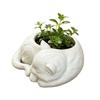 Jijijing 3D-печатный горшок для цветов спящий кот, мини-горшок для рабочего стола, декоративный держатель для суккулентов и небольших зеленых растений
