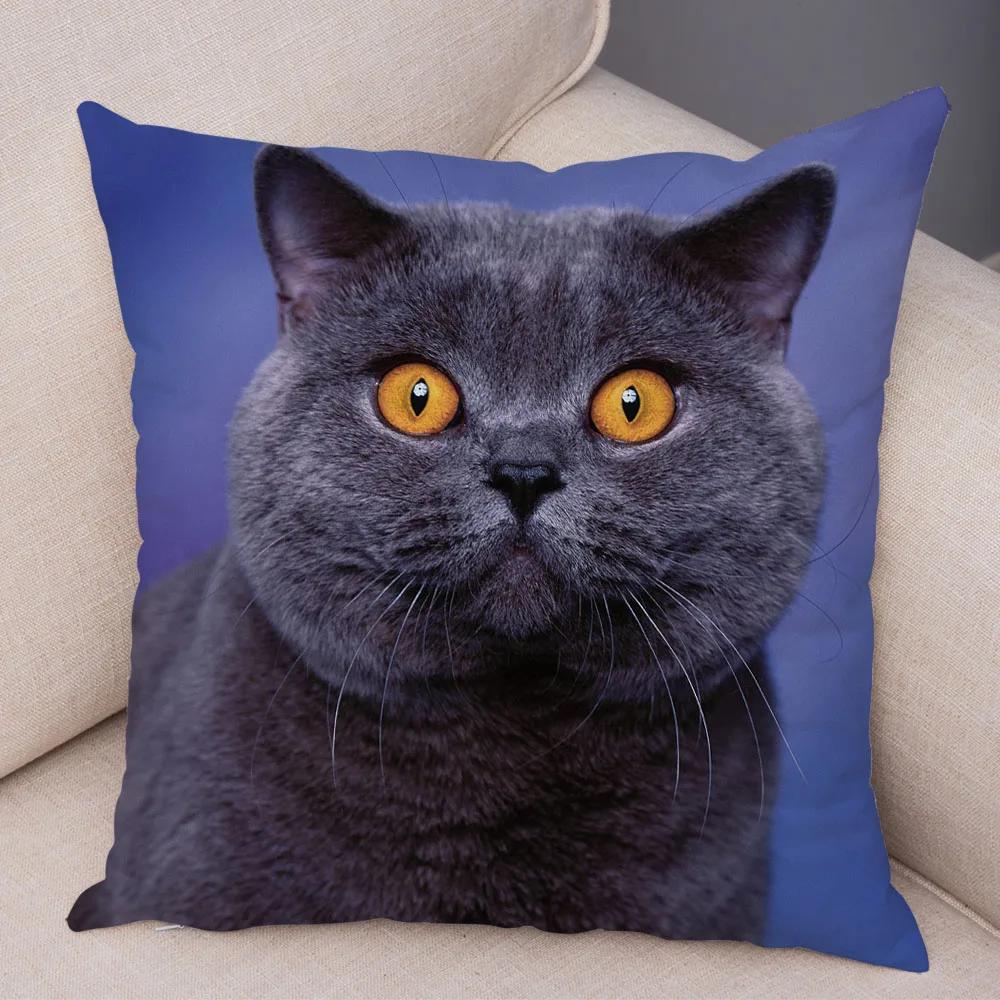 Русская голубая Британская короткошерстная Наволочка Декор Милый кот Домашнее животное Животное Наволочка Мягкий плюшевый Чехол для подушки для машины Дивана Дома