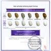 Crest 3D Brilliant Отбеливающая зубная паста для глубокой очистки