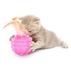 Pet Cat Interesting Ball Toy with Feather Made of Line Tube Kittens Exercise Rolling Ball