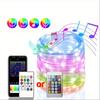 RGB-IC Светодиодная гирлянда USB Bluetooth и Пульт WS2812B Сказочные огни Водонепроницаемая Рождественский венок Декор для дома Свадьбы Праздничной вечеринки