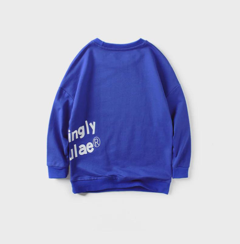 European Kids' Spring Korean-Style Sweater - Long Sleeve English Print Top for Boys