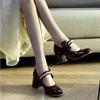 High Heels 2025 Autumn New Temperament Bride Shoes Small Burgundy Thick Heel Wedding Shoes Single Shoes Mary Jane