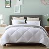 Mengjie Antibacterial Cloud-Feel All-Season Duvet Insert