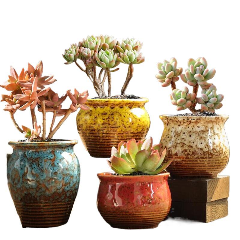 Coarse Pottery Succulent Plant Pot with Creative Picture Book Style for Floor-Standing Silk Flowers