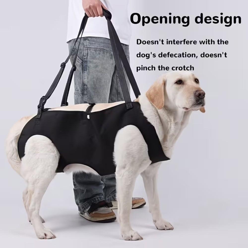 Adjustable Pet Backpacks Help with Carrying Dog Body Support Bag New Dog Lift Harness Injured Dogs
