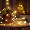 LED String Lights Star Fairy Garland Warm White Fairy Light For New Year Christmas Wedding Home Indoor Party Decoration Women's Gift