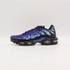 FV0393-001 Nike Air Max Plus 25-летие (Мужской)