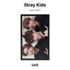 Stray Kids Я НЕ официальная фотокарточка
