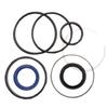 Massey Ferguson Landini Steering Cylinder Seal Kit 1749581M91