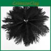 Ostrich In Feathers Multiple Colors Stage Simulation Performance Props Feathers