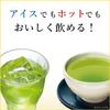 Itoen Oi Ocha Genmaicha X 20 Bags X 10 Eco Tea Bags 1.9g
