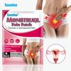Cervical Warming Patch Spontaneous Fever Female Menstrual Care Patch Menstrual Pain Patch