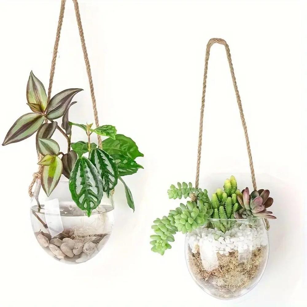 Exquisite Wall Mounted Vase Transparent Flower Pot Durable Hydroponic Hanging Vase Living Room