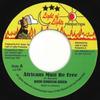 7-дюймовая пластинка BOOM DONOVAN GREEN Africans Must Be Free Версия LL707 Light Of Light 2020 Великобритания Регги Ска Даб