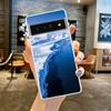 Для Google Pixel 10 Pro Прозрачный чехол для телефона Pixel 9 Pro XL Pixel 8 Pro 9A 8A 7A 7 6A 6 Pro Мягкая TPU крышка Снежный пейзаж Антарктиды