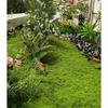 100cm*100cm Artificial Moss Carpet Aquascape Bionic Turf Fake Moss Micro-Landscaping Arrangement Lawn Bonsai Potted Plants Pavem