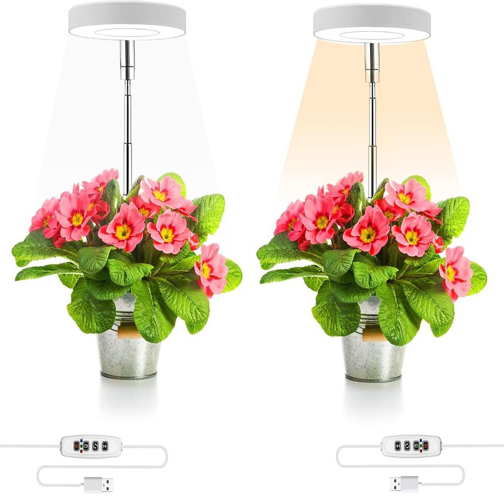 Ground-plugged Plant Light Timable Dimmable Angel Ring Full Spectrum Imitation Sunlight Succulent Pot Grow Light Fill Lights
