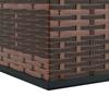 Garden Cushion Box PE Rattan 100*49*103.5 cm Brown