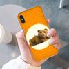 Ted Bear Phone Case for iphone 13 11 12 pro XS MAX 8 7 6 6S Plus X 5S SE 2020 XR case