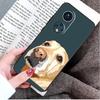 Golden Retriever Dog Case For Honor Magic 8 5 6 7 Lite Honor 200 400 Pro 50 70 90 X9d X9b X9c X9a X8c X8b Win RT