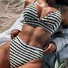 Push Up Bikini Set High Waist Swimsuit For Women Swimwear Female Bathing Suit Brazilian Biquini Sexy Bikini Bathing Suit