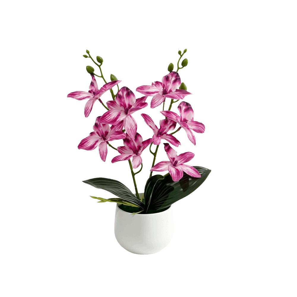 Silk Petals Artificial Orchid Flower Multicolor Simulated Orchid Plant Office Hotel