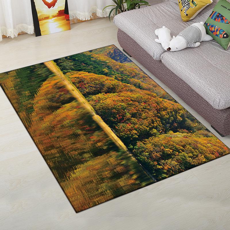 Living Room Carpet Bedroom Bedside Carpet Simple Floor Mat Foot Mat and Machine Washable Entrance Mat
