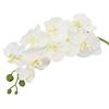 Artificial Orchid Flowers Long Stemmed Realistic Phalaenopsis Orchids No Maintenance Velvet Petals Fake Flower Home Decor