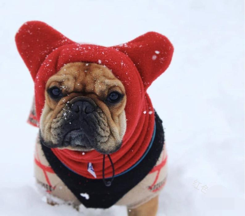 Dog Casual Warm Color Pet Cute Hat
