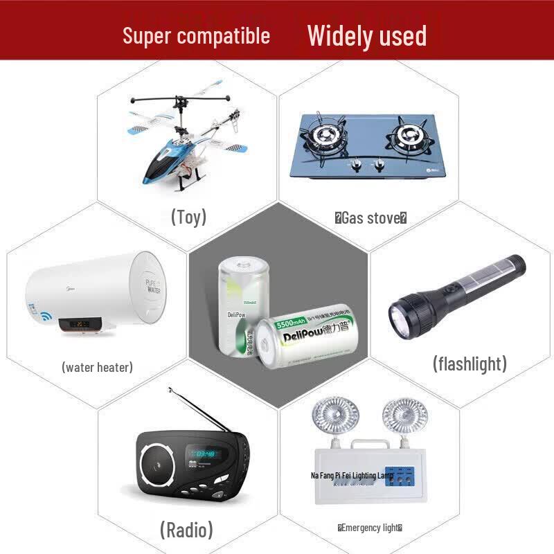 Delipow D Size Rechargeable Batteries CN plug (adapter included)