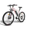 Fafrees 26 Hailong One Road Electric Bike 250W Rear Hub Motor, 36V 13Ah Battery, 26" CST Tires, Shimano 21 Speed, LCD Display