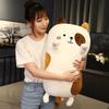 Plush Cartoon Cat Toy Cute Girl Bed Sleep Leg Clamping Doll Cushion Gift Holiday