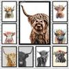 Watercolor Highland Cow Posters Canvas Prints Art Abstract Cute Highland Animal Canvas Painting Wall Art Pictures for Home Decor
