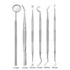 Tartar Scraper Teeth Cleaning Tools Mouth Mirror Plaque Remover Dental Calculus Remover  Dentist