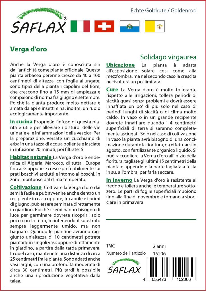 SAFLAX Garden in the Bag - Золотарник - 100 семян - С субстратом в подходящем пакете-стойке - Solidago virgaurea