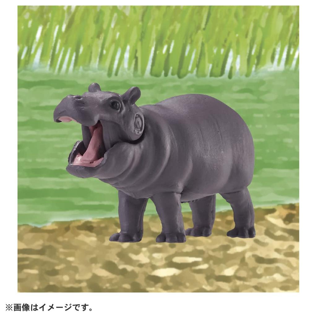Takara Tomy Ania Hippopotamus Animal Dinosaur Toy for Ages 3 and Up AC-09 (Children)