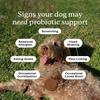 Dog Probiotics Chews - Dog Probiotics for Gut Health, Occasional Diarrhea, Digestive Health & Seasonal Allergies, Beef Flavor