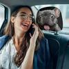 2Pcs Funny Car Seat Headrest Protectors Elastic Automobile Pillowcase  Halloween