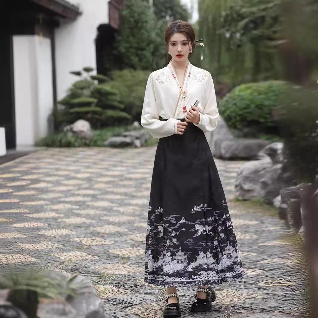 Ming Dynasty-inspired Embroidered Hanfu Skirt and Top Set