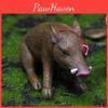 Resin Micro Landscape Gift Pirate Boar For Festive Event Decorations Animal