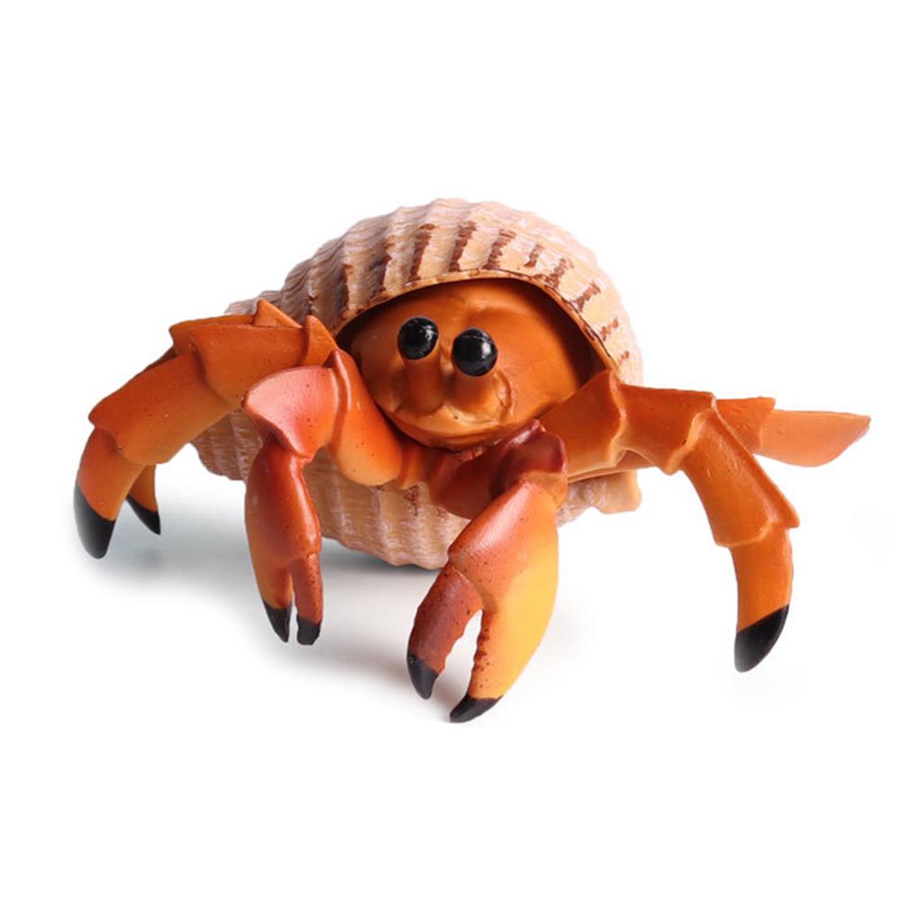 Puntos Kids Toy Simulation Hermit Crab Морское животное ПВХ Модель Настольный Декор Образование